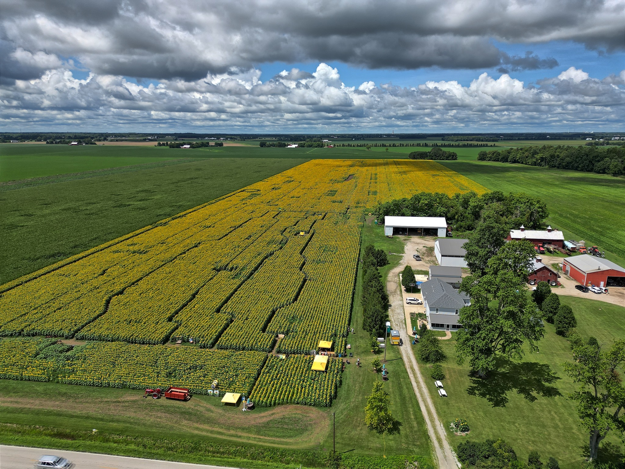 An aerial view of a field of yellow canola